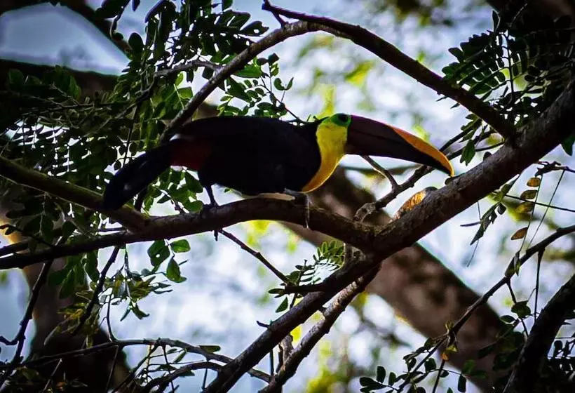 Jaco Hotel Docelunas