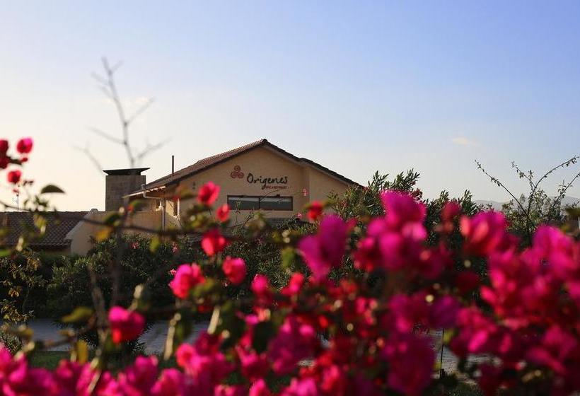 فندق Origenes