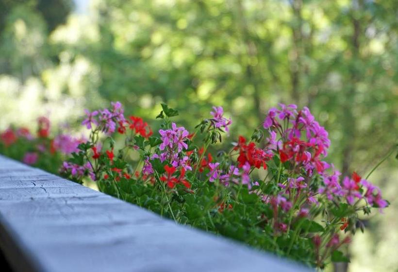 酒店 Pensione La Müda