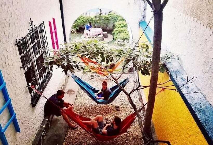 The Pelican Larry Hostel