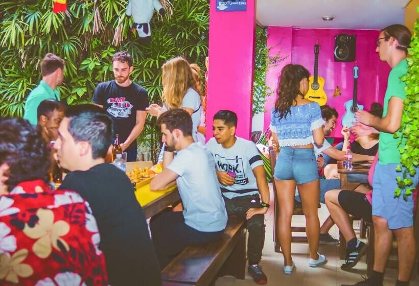 The Pelican Larry Hostel