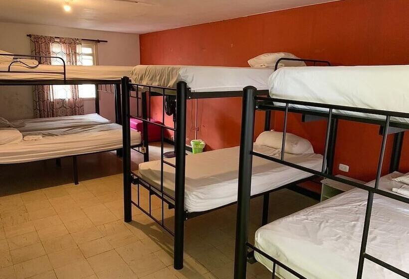 The Pelican Larry Hostel