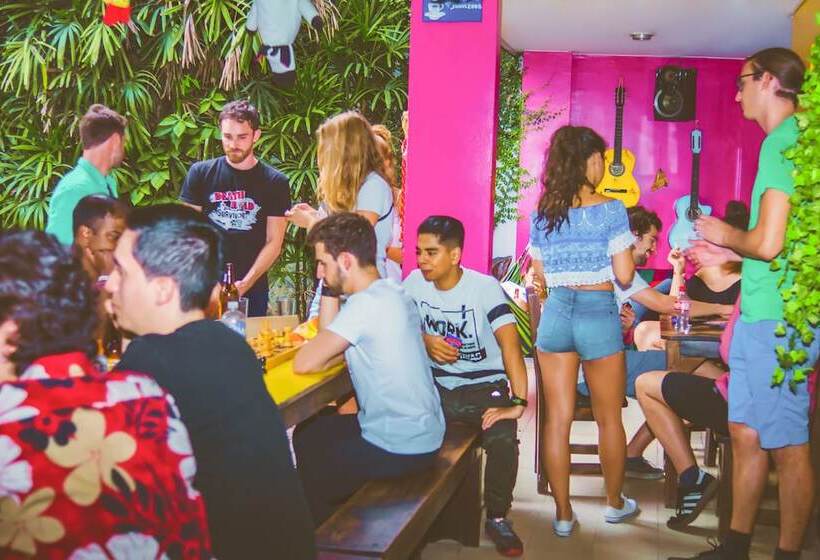 The Pelican Larry Hostel