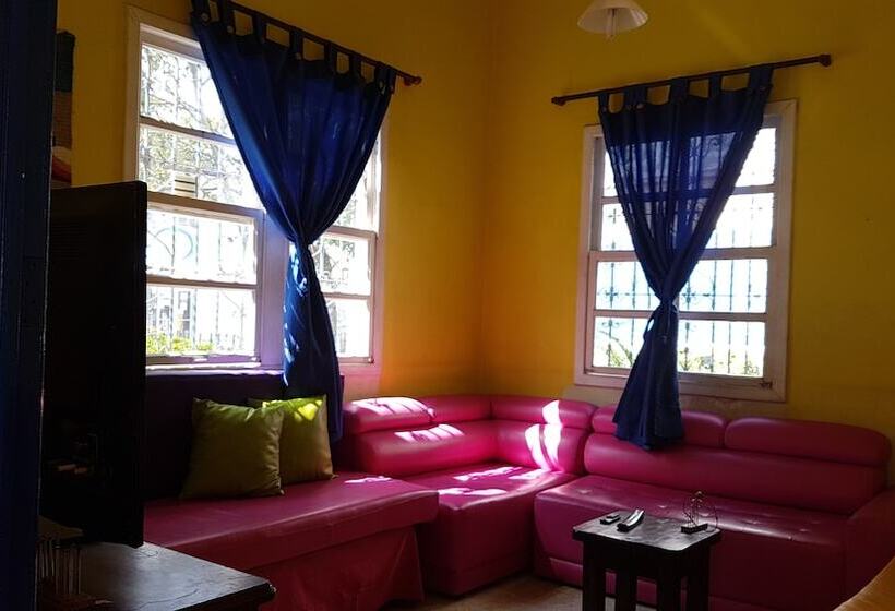 The Pelican Larry Hostel