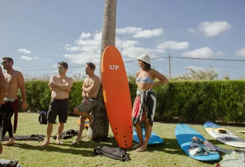 ユースホステル Pura Vida Surf Camp & School