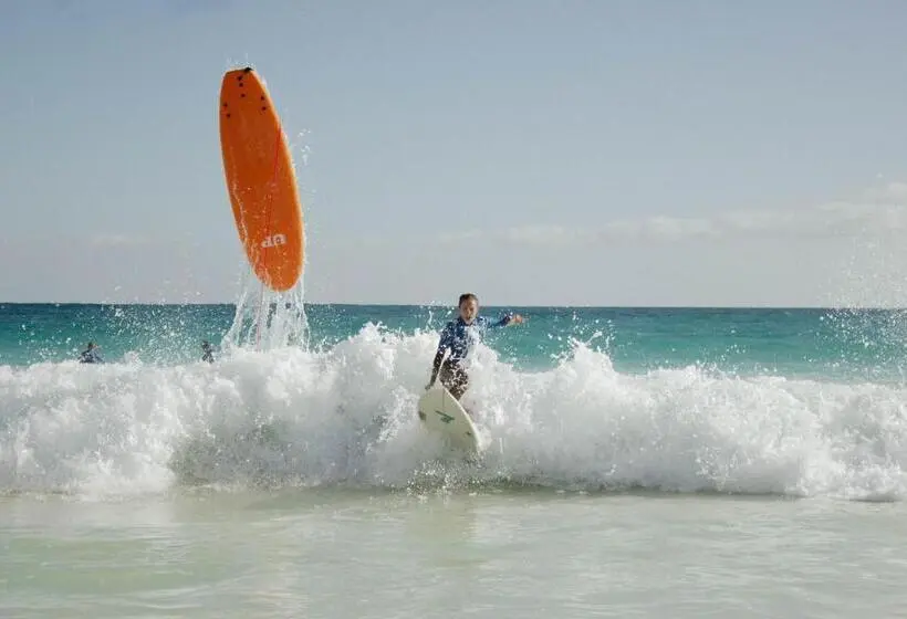 ユースホステル Pura Vida Surf Camp & School