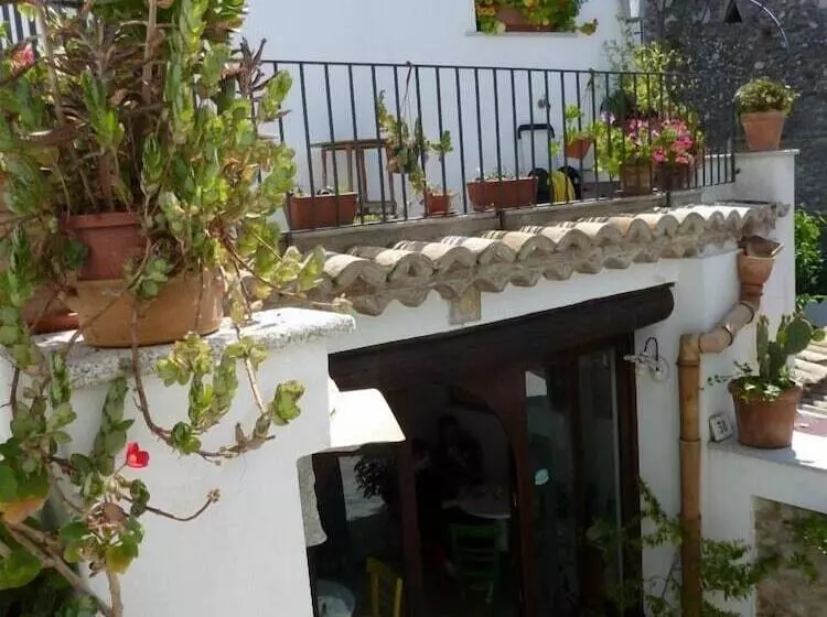 B&b Amphisya
