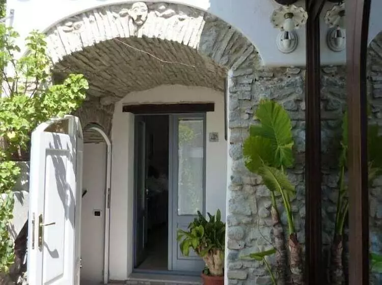 B&b Amphisya