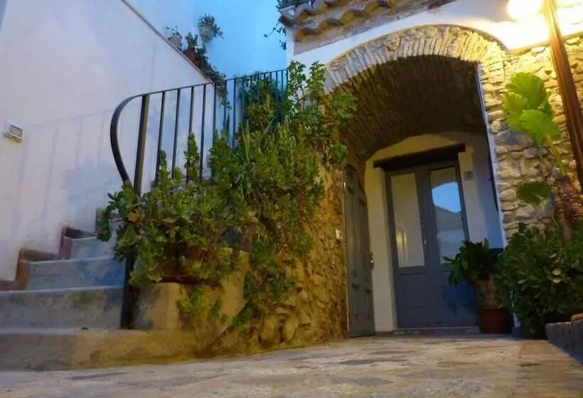B&b Amphisya