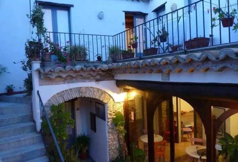 B&b Amphisya