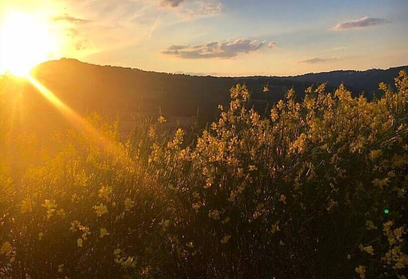 住宿加早餐 Amico Country House