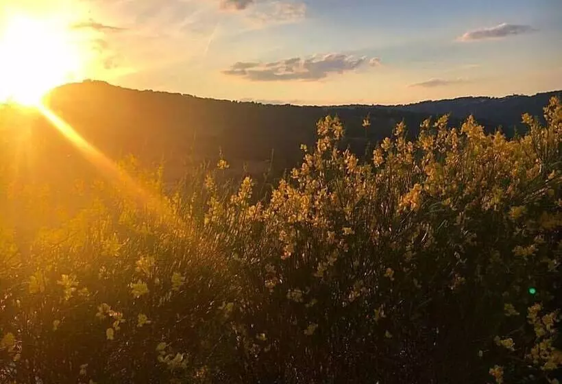 ベッドアンドブレックファースト Amico Country House