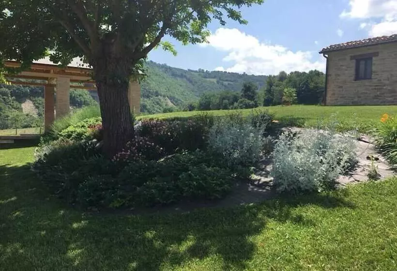 ベッドアンドブレックファースト Amico Country House