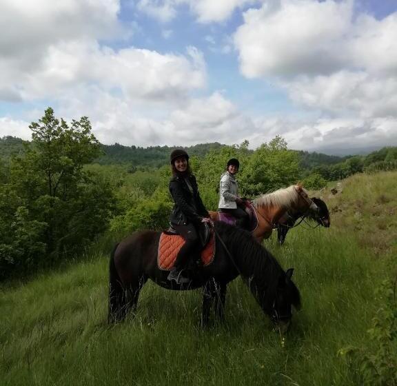 住宿加早餐  La Ratatouille Agriturismo