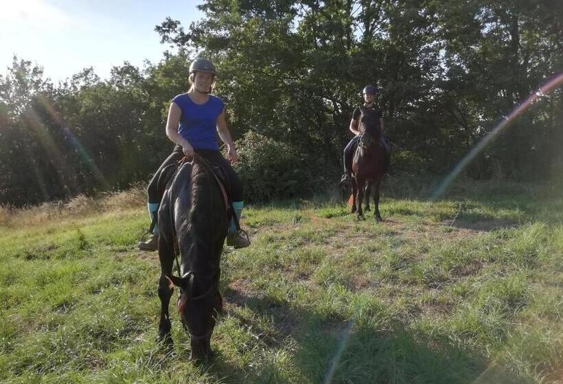 住宿加早餐  La Ratatouille Agriturismo