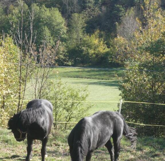 住宿加早餐  La Ratatouille Agriturismo