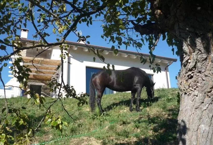 ベッドアンドブレックファースト La Ratatouille Agriturismo