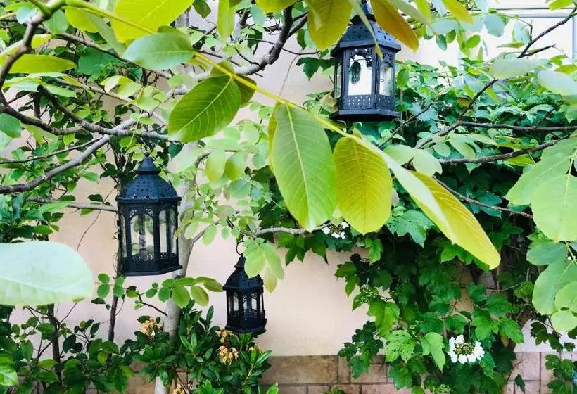 ベッドアンドブレックファースト Uma Rosa