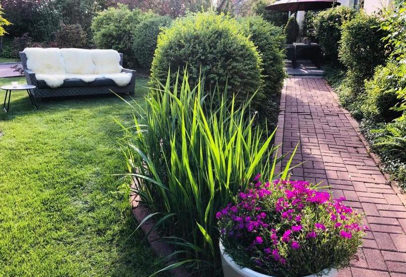 ベッドアンドブレックファースト Uma Rosa