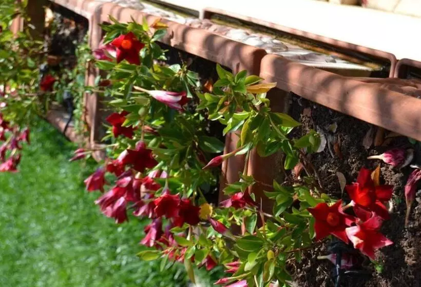 تختخواب و صبحانه Villa Ethnic Chic