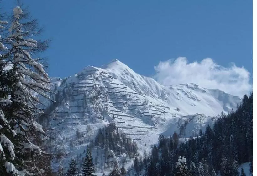 Hotelli Albergo Pineta