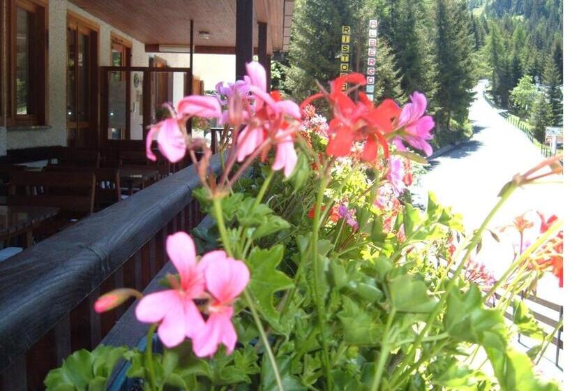 ホテル Albergo Pineta