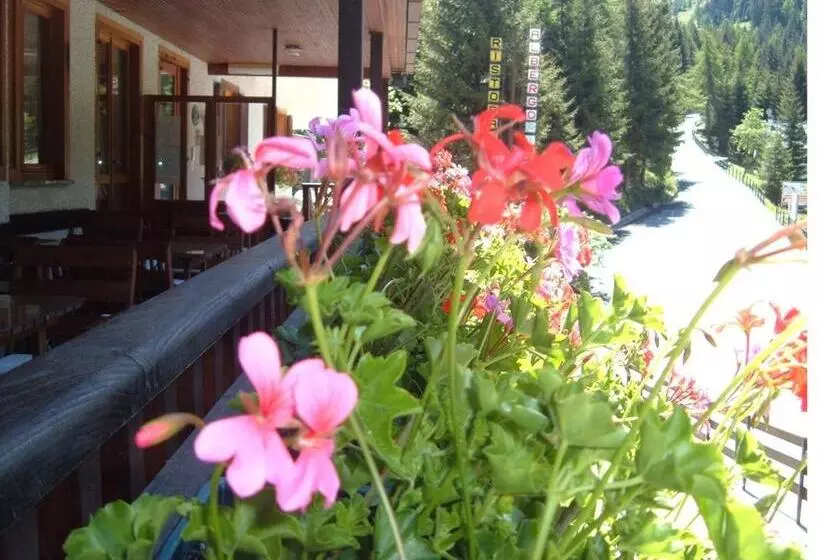 Hotelli Albergo Pineta