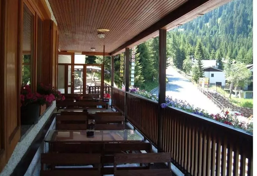 Hotelli Albergo Pineta