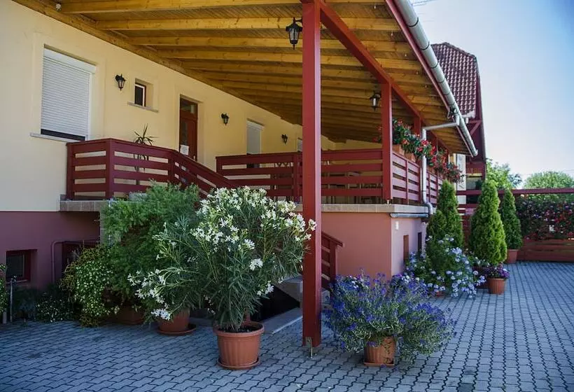 ホテル Arany Patkó Pension
