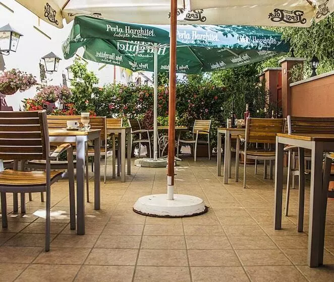ホテル Arany Patkó Pension