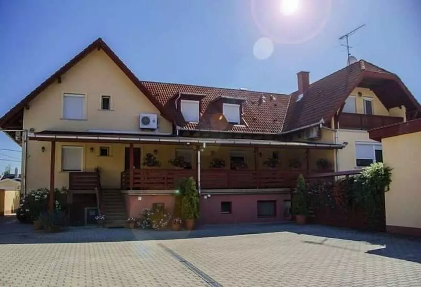 ホテル Arany Patkó Pension