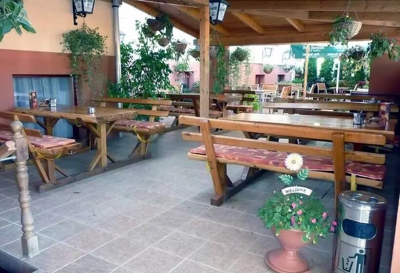 ホテル Arany Patkó Pension