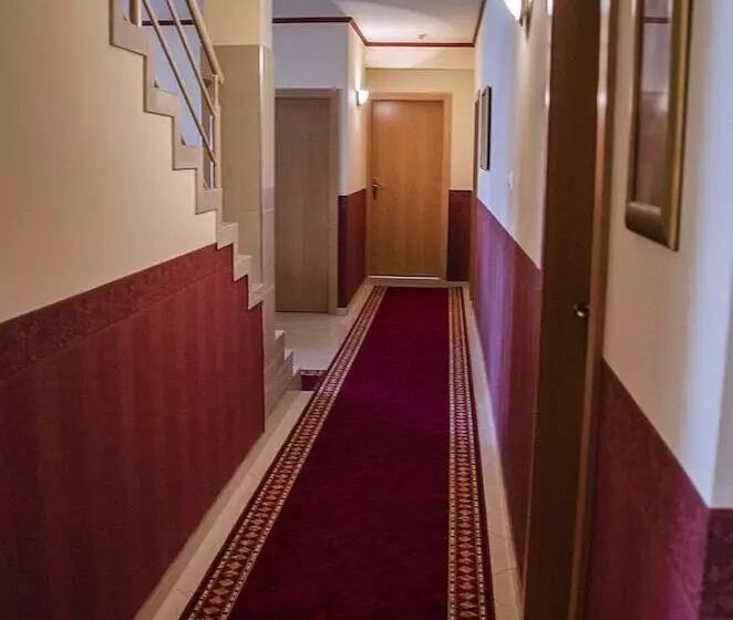 ホテル Arany Patkó Pension