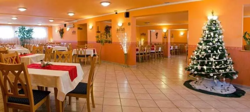 ホテル Arany Patkó Pension