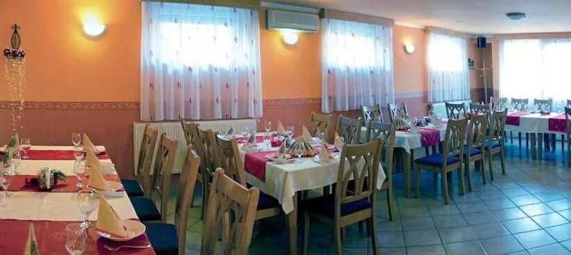 ホテル Arany Patkó Pension