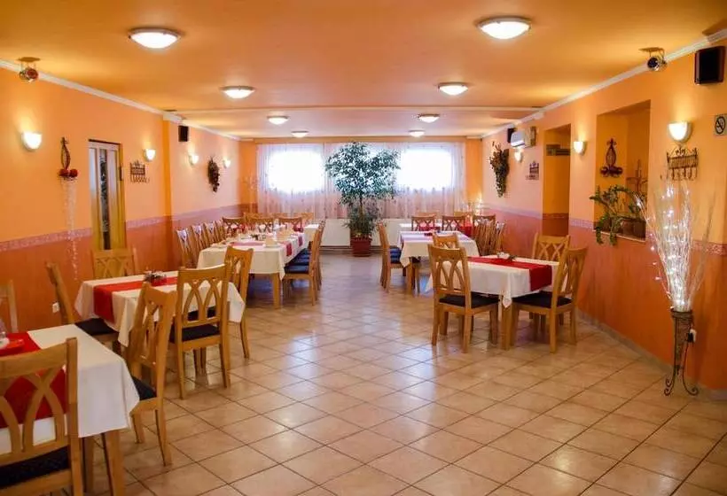 ホテル Arany Patkó Pension