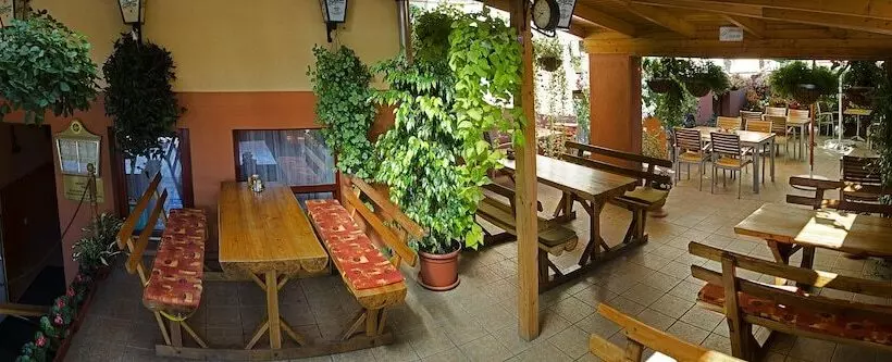 ホテル Arany Patkó Pension