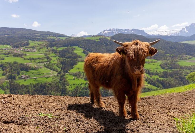 Berglandhotel Untertheimerhof