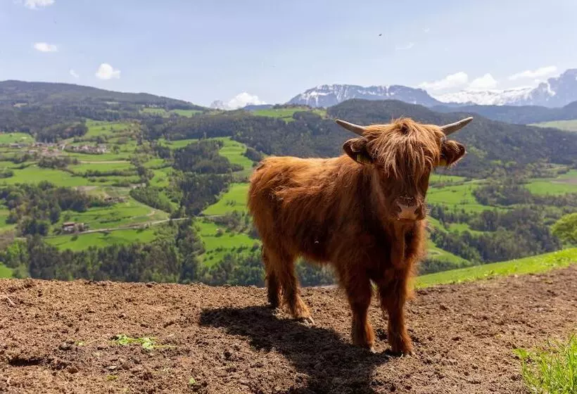 Berglandhotel Untertheimerhof