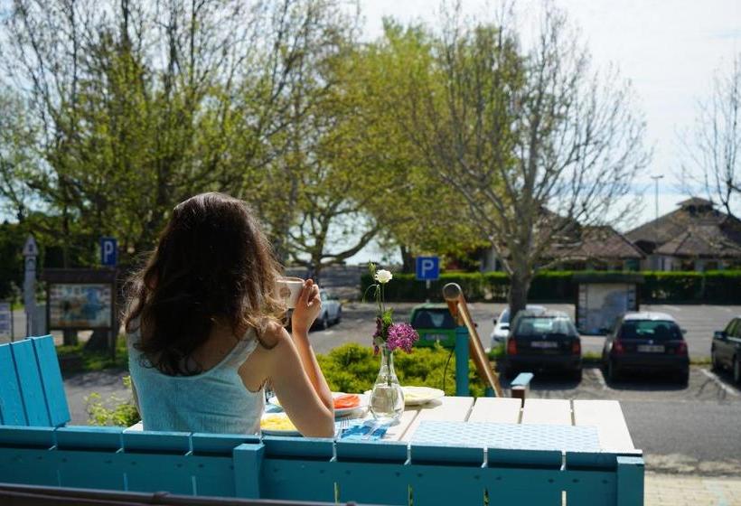 Отель Fészek  étel és