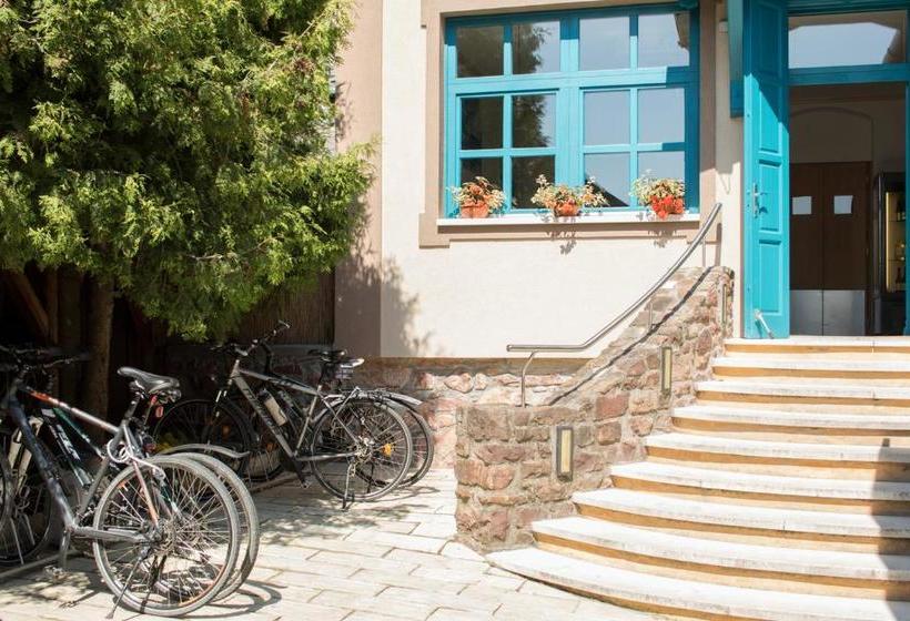 Отель Fészek  étel és