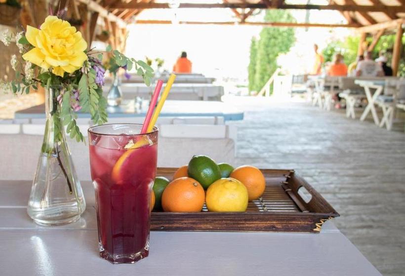 Отель Fészek  étel és