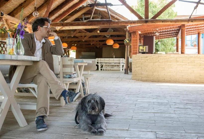 Отель Fészek  étel és