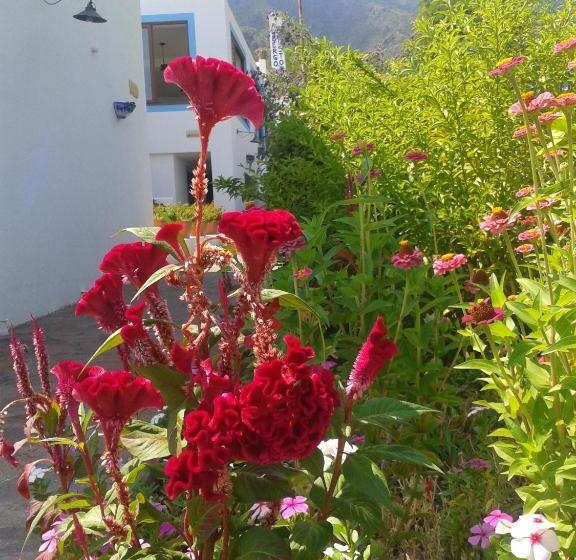 בית מלון כפרי Punta Barone