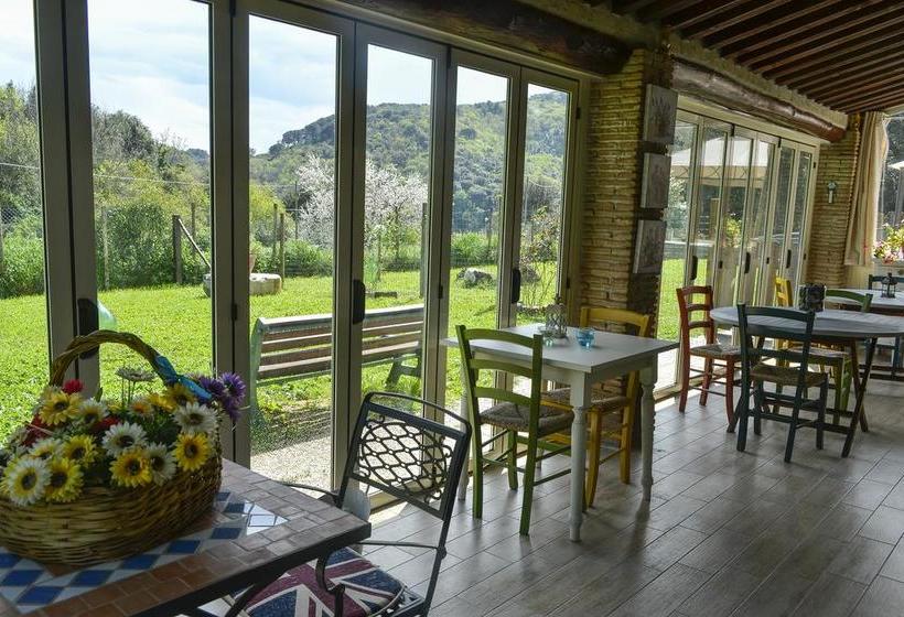 住宿加早餐 Camere Il Temperino