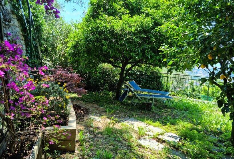 B&b La Terrazza Sui Fieschi