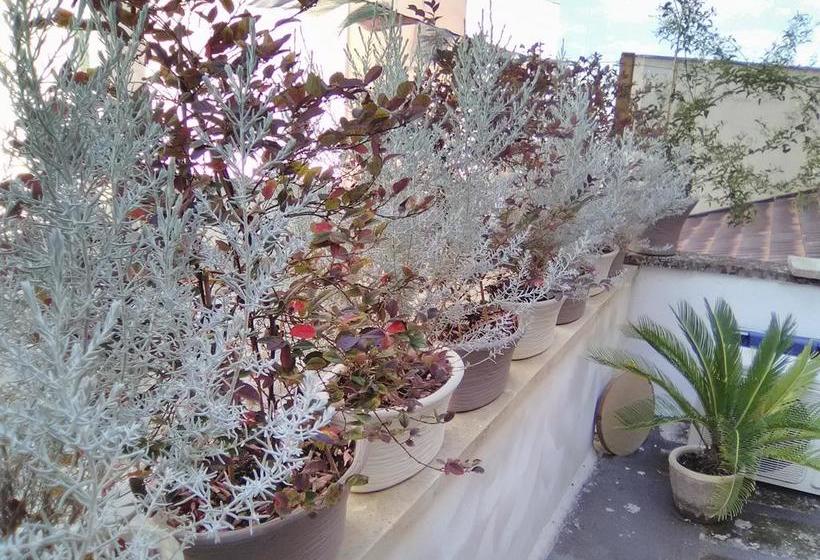 تختخواب و صبحانه Bed In Salento