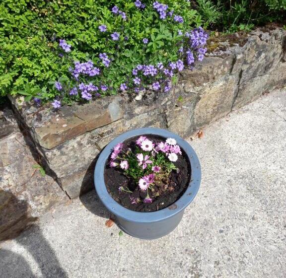 تختخواب و صبحانه Carraig Rua