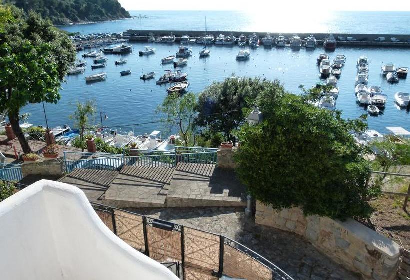 مبيت وإفطار Domus Sirenae