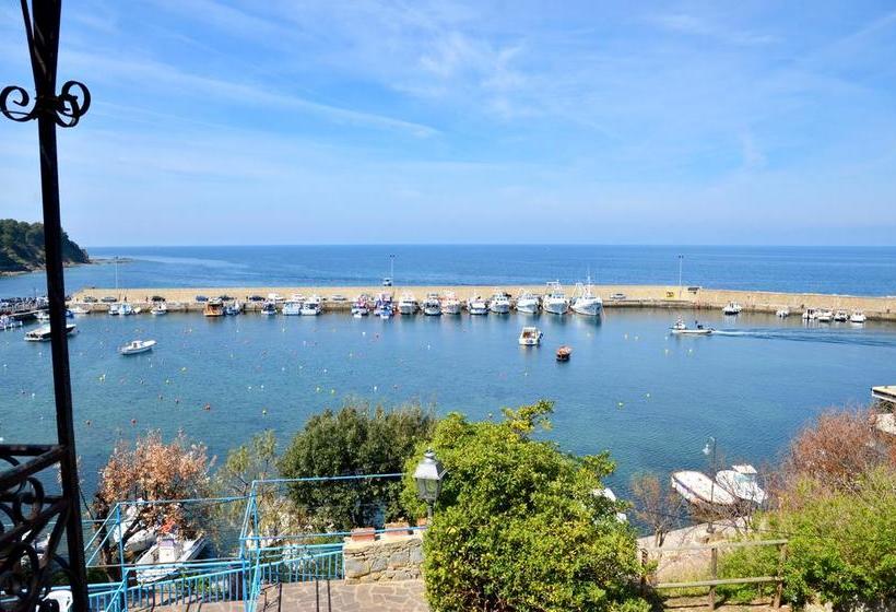 مبيت وإفطار Domus Sirenae